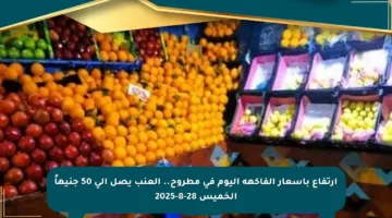 ارتفاع بأسعار الفاكهة اليوم في مطروح.. العنب يصل إلى 50 جنيهاً الخميس 28-8-2025